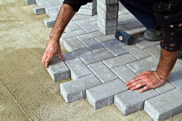 Best Local Driveway Pavers  in Forest Glen, MD